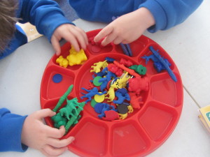 Junior infants colour sorting.