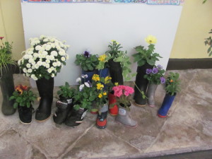 Our planted wellies